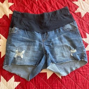 Maternity Shorts
